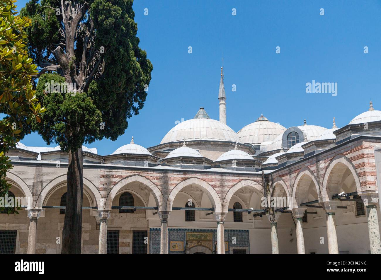 Türkei - Istanbul - Topkapi-Palast - Ağalar-Moschee Innenhof mit Bögen und Kuppeln unter der aufragenden Zypresse Stockfoto