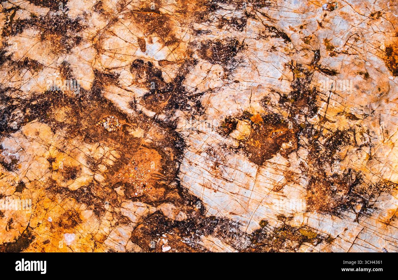 Detaillierte Ansicht einer natürlichen Oberfläche mit farbenfrohen Mustern, Texturen und organischen Formen. Perfekt für Hintergründe oder Designelemente, die erforderlich sind Stockfoto