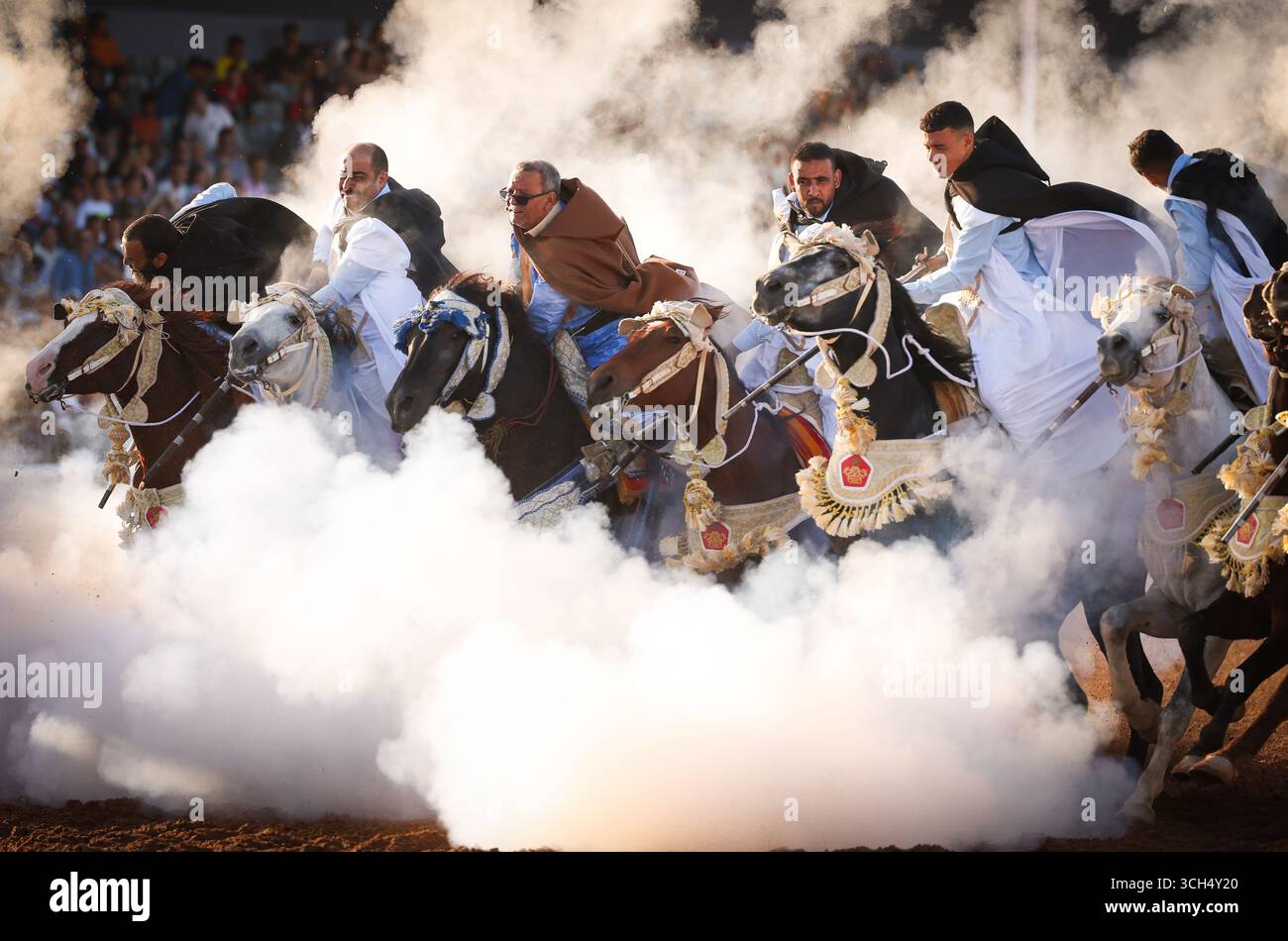 Eine Geschichte von Mut, Einheit und Erbe in einem einzigen Bild. Reiter in bunten marokkanischen Kostümen galoppieren in einer Fantasia-Show auf arabischen Pferden Stockfoto