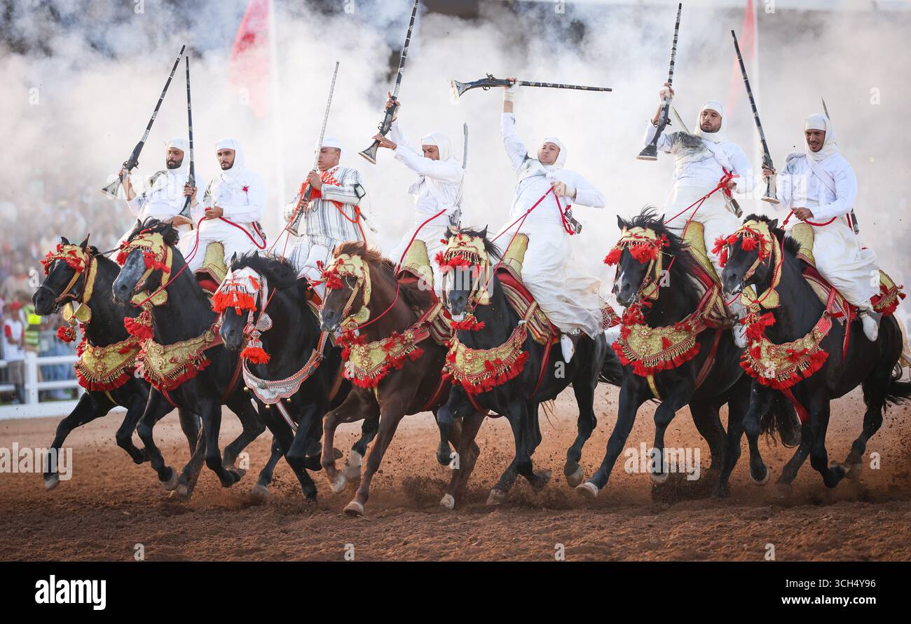 Eine Geschichte von Mut, Einheit und Erbe in einem einzigen Bild. Reiter in bunten marokkanischen Kostümen galoppieren in einer Fantasia-Show auf arabischen Pferden Stockfoto