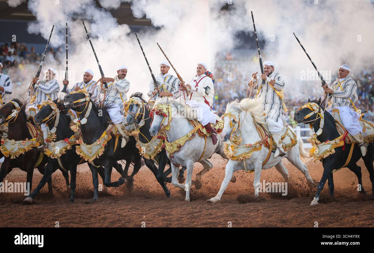 Eine Geschichte von Mut, Einheit und Erbe in einem einzigen Bild. Reiter in bunten marokkanischen Kostümen galoppieren in einer Fantasia-Show auf arabischen Pferden Stockfoto