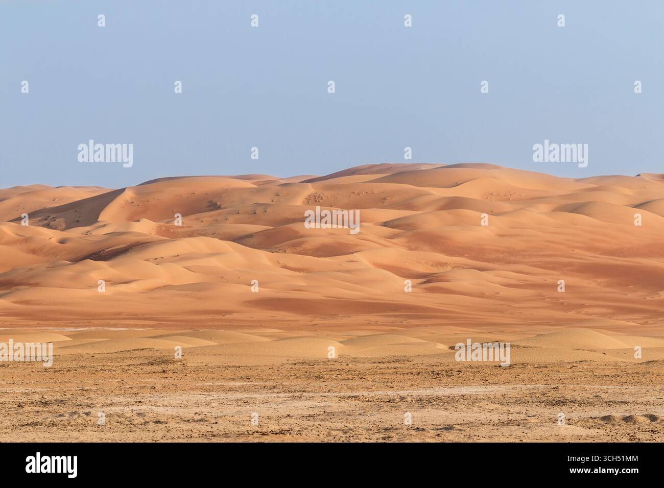 VAE - Abu Dhabi - Liwa-Wüste - Breite, bernsteinfarbene Dünen, die sanft zu einem klaren, weiten Horizont Rollen Stockfoto