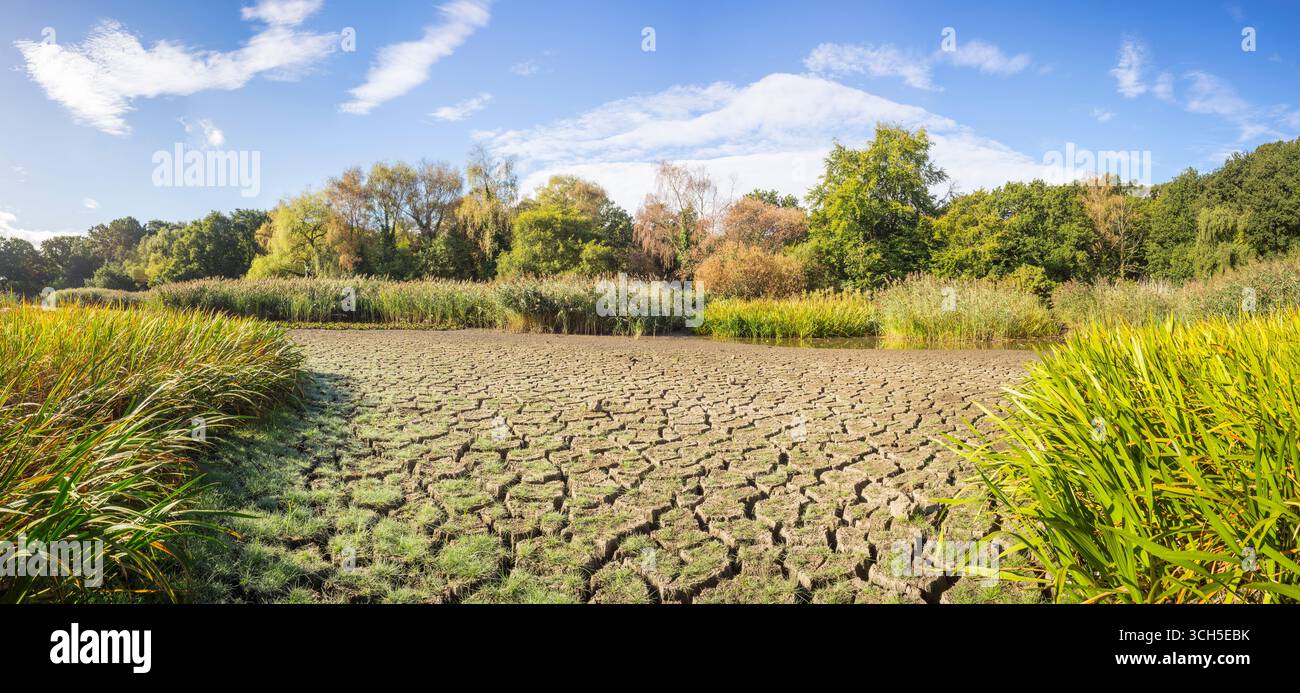 UK-Trockenheit 2025: der ausgetrocknete Zier- oder Angelteich auf dem Southampton Common nach einer sehr trockenen Periode im Frühling und Sommer 2025 Stockfoto
