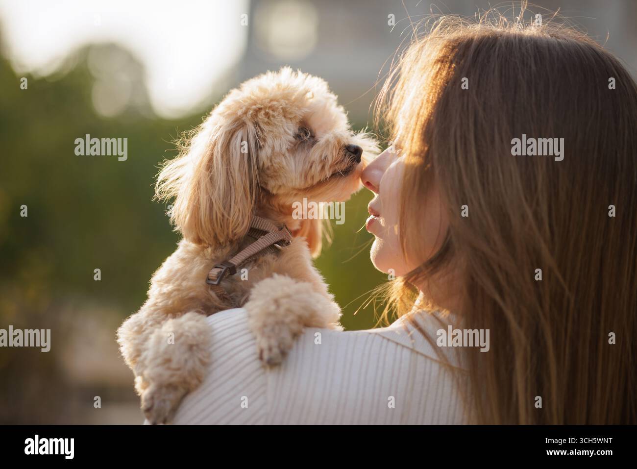 Zärtlicher Moment einer jungen Frau mit ihrem kleinen Hund im Freien, die Liebe und starke emotionale Verbindung zeigt, perfekt für Themen wie Tierpflege und Freundschaft. Stockfoto