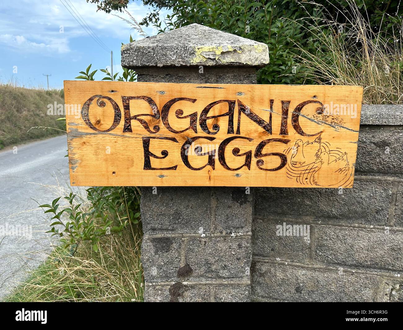 Ein Schild für Bio-Enteneier neben einer Straße in Mwnt, Wales - Smartphone-aufgenommenes Stockfoto