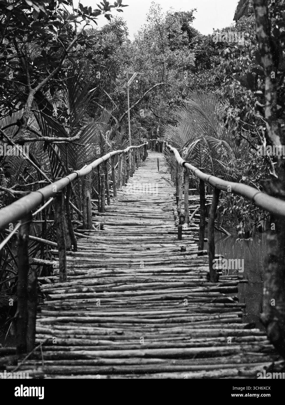 Wooden Road Stockfoto