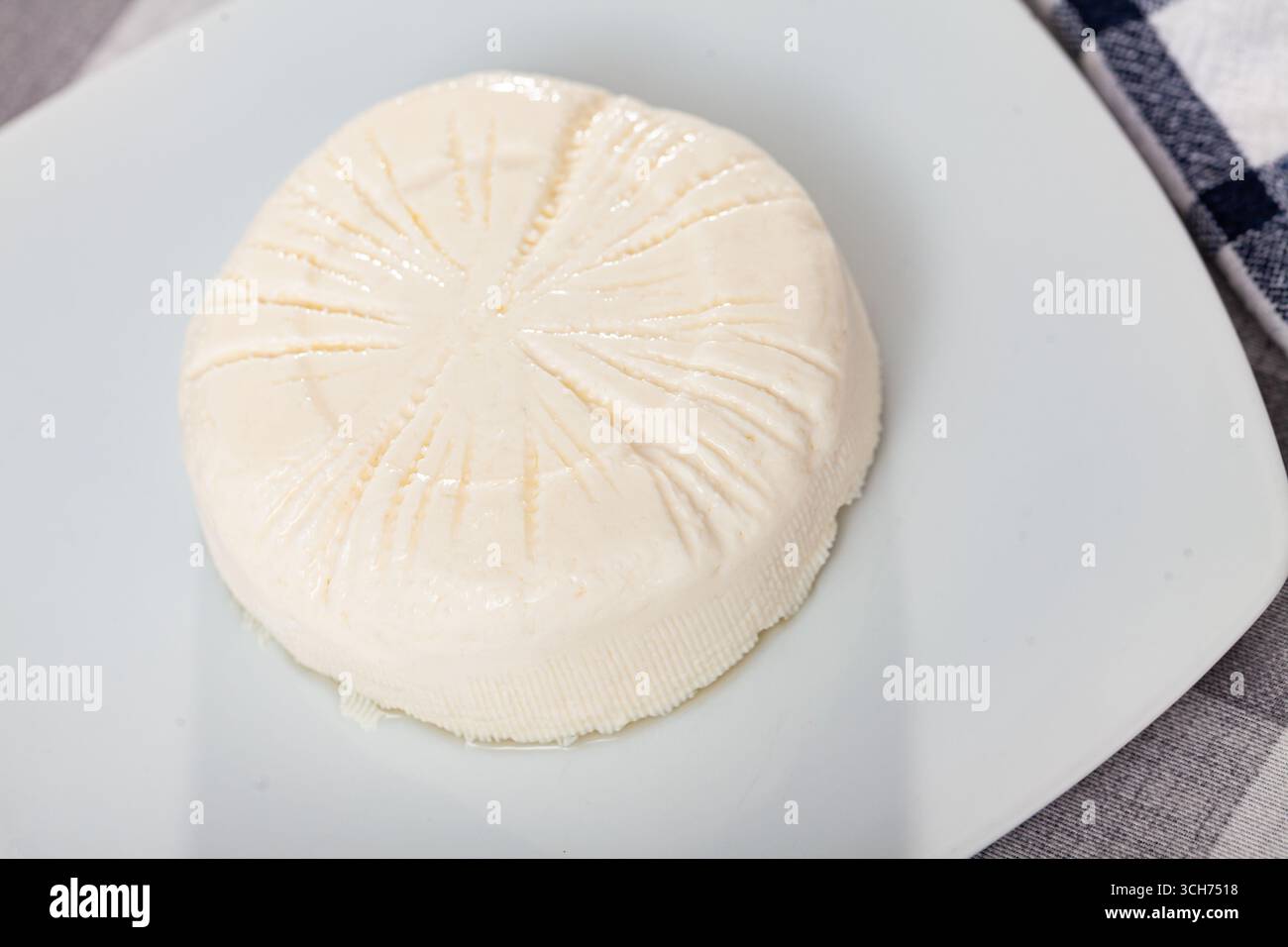 Köstlicher junger Käse Stockfoto