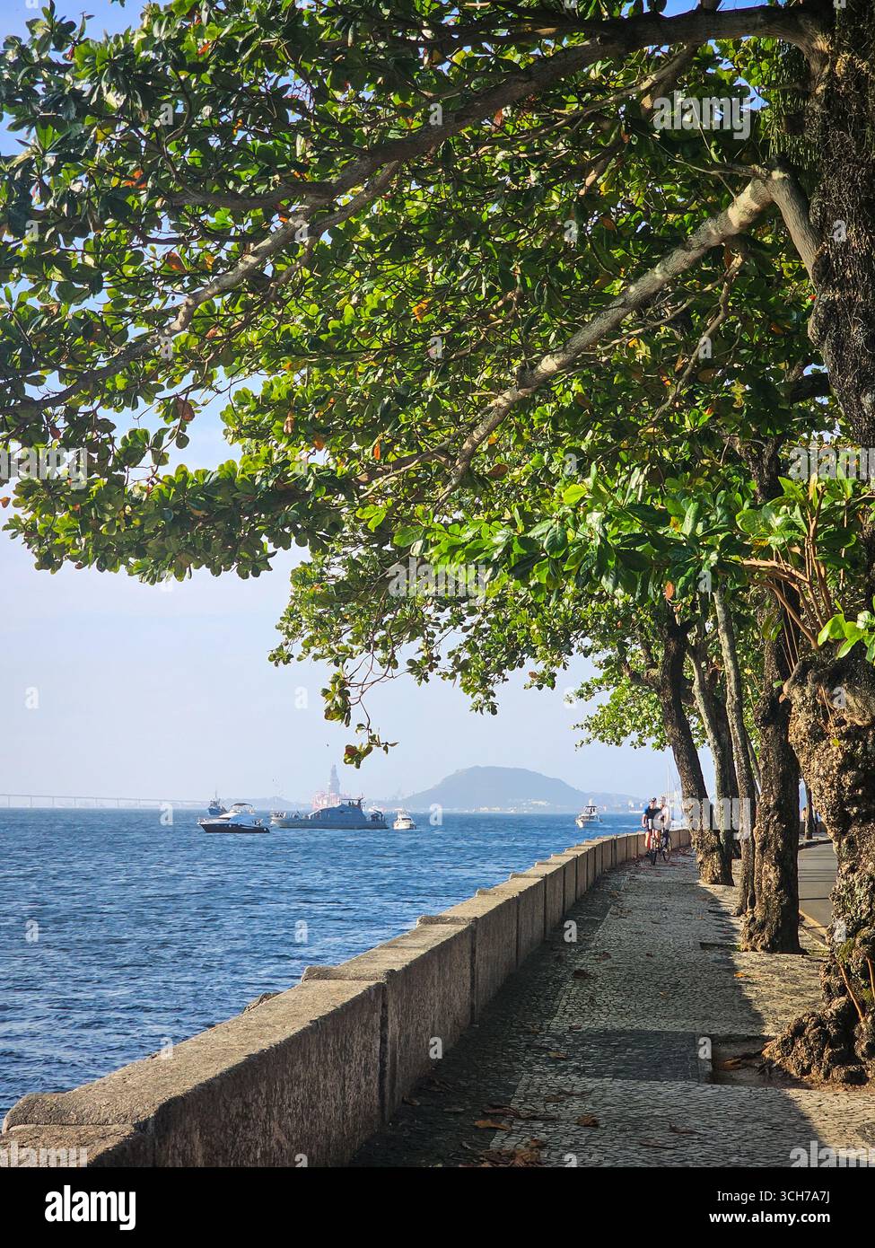 Von Bäumen gesäumte Promenade an der Mureta da Urca in Rio de Janeiro, Brasilien Stockfoto