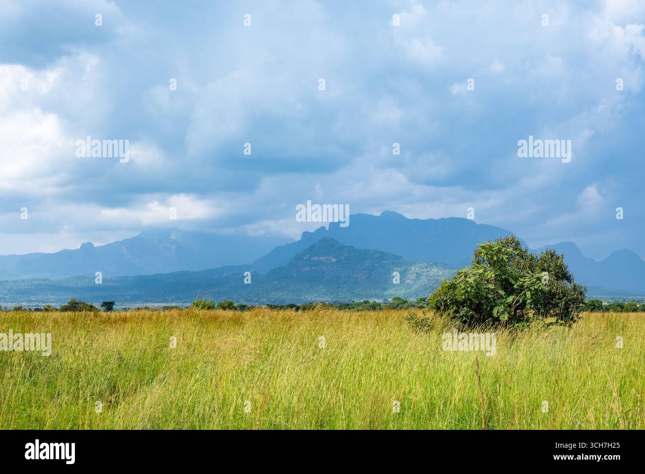 Mount Kadam, ein vulkanischer Berg, der sich über die umliegenden Ebenen erhebt. Pian Upe Game Reserve, Uganda, Afrika. Stockfoto