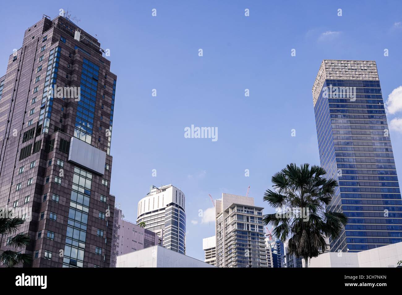 Eine lebendige urbane Szene mit hohen Glashochhäusern, einem blauen Himmel und einer Palme im Vordergrund, die moderne Architektur und urbane Energie einfängt Stockfoto