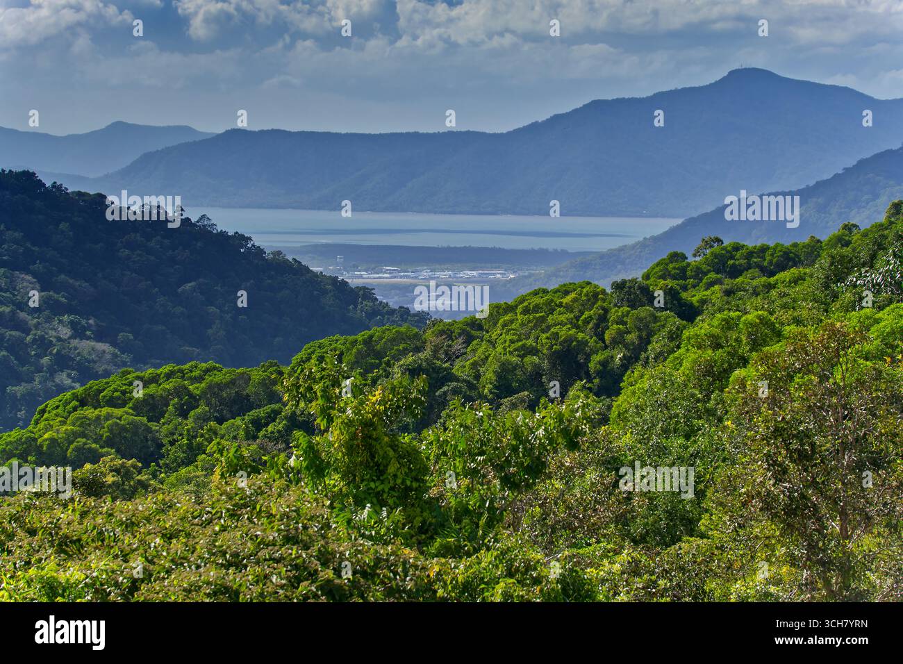 Blick über dichten tropischen Regenwald durch tiefe Schlucht in Richtung Cairns Stadt und Meer mit blauem Himmel vom McDonalds Aussichtspunkt im Barron Gorge National Park Stockfoto
