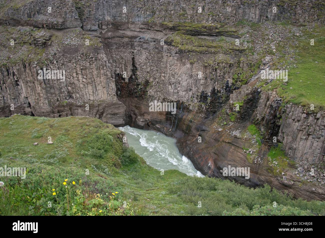 Moosige Klippen des River Canyon in Island Stockfoto