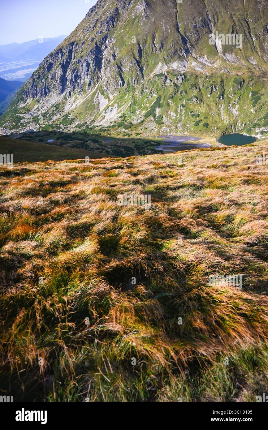 Malerische Aussicht auf ein Bergtal mit einem See und Wind, der auf dem Grasfeld weht. Stockfoto