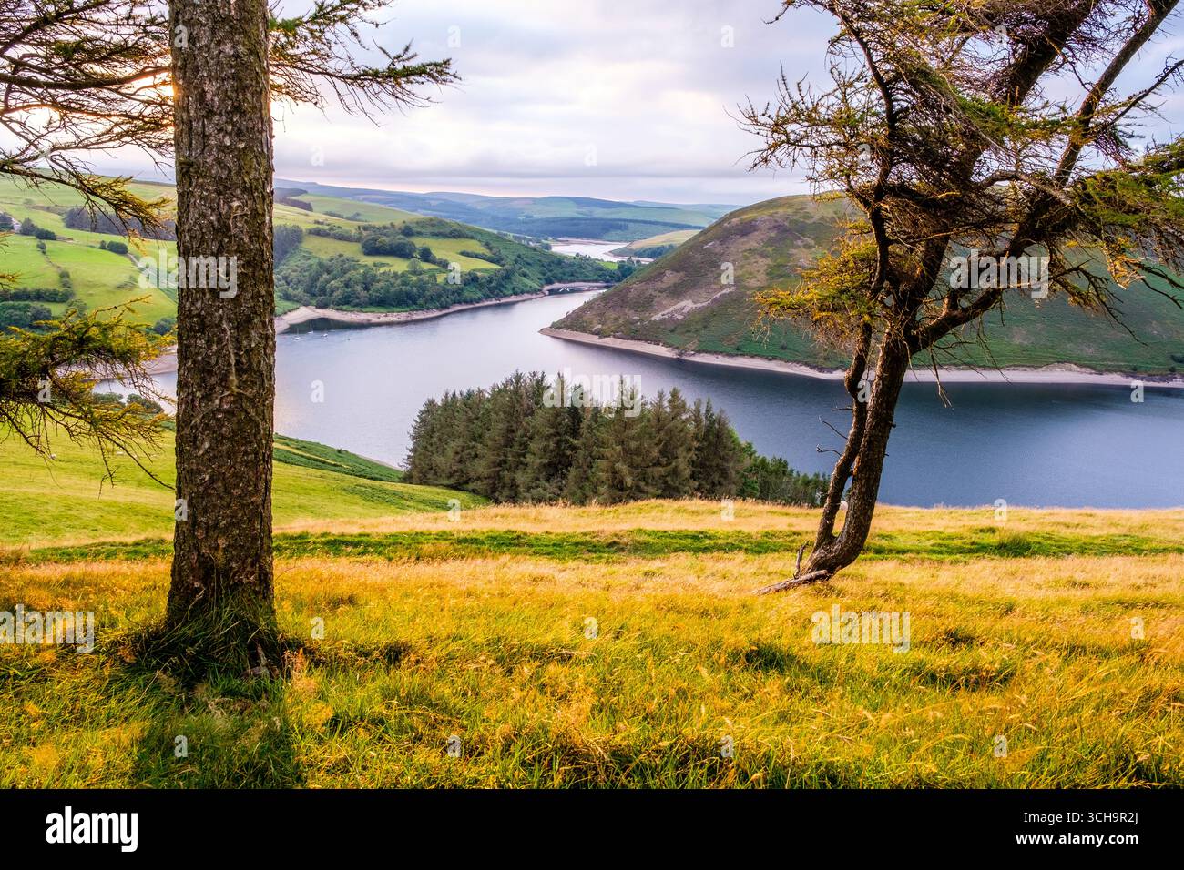 Clywedog-Reservoir in Mittelwales Stockfoto