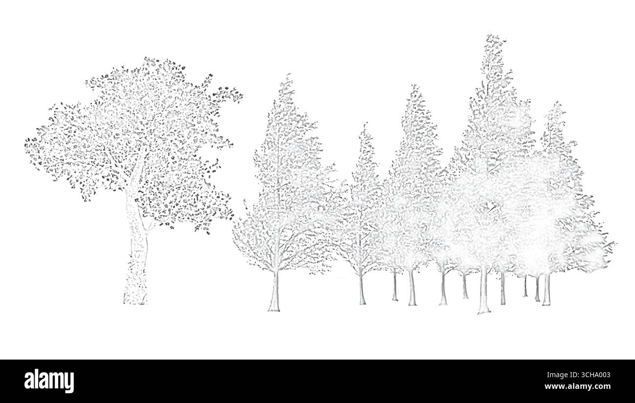 Architekturzeichnungen, cad-Baumlinienzeichnung im minimalen Stil, Seitenansicht, Schwarzweiß-Baumskizze, die eine Waldlandschaft mit Detai zeigt Stock Vektor