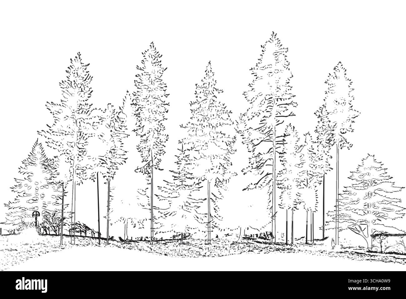 Feuchtwald-Umrisse für Landschaftszeichnungen, Seitenansichten, Architekturzeichnungen und cad-Baumlinien im minimalen Stil Stock Vektor