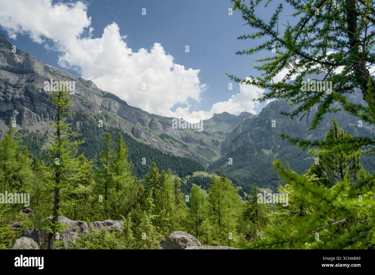 Das Derborence-Tal im Wallis, Schweiz, besticht durch eine beeindruckende alpine Landschaft mit zerklüfteten Bergen und dichten Wäldern. Stockfoto