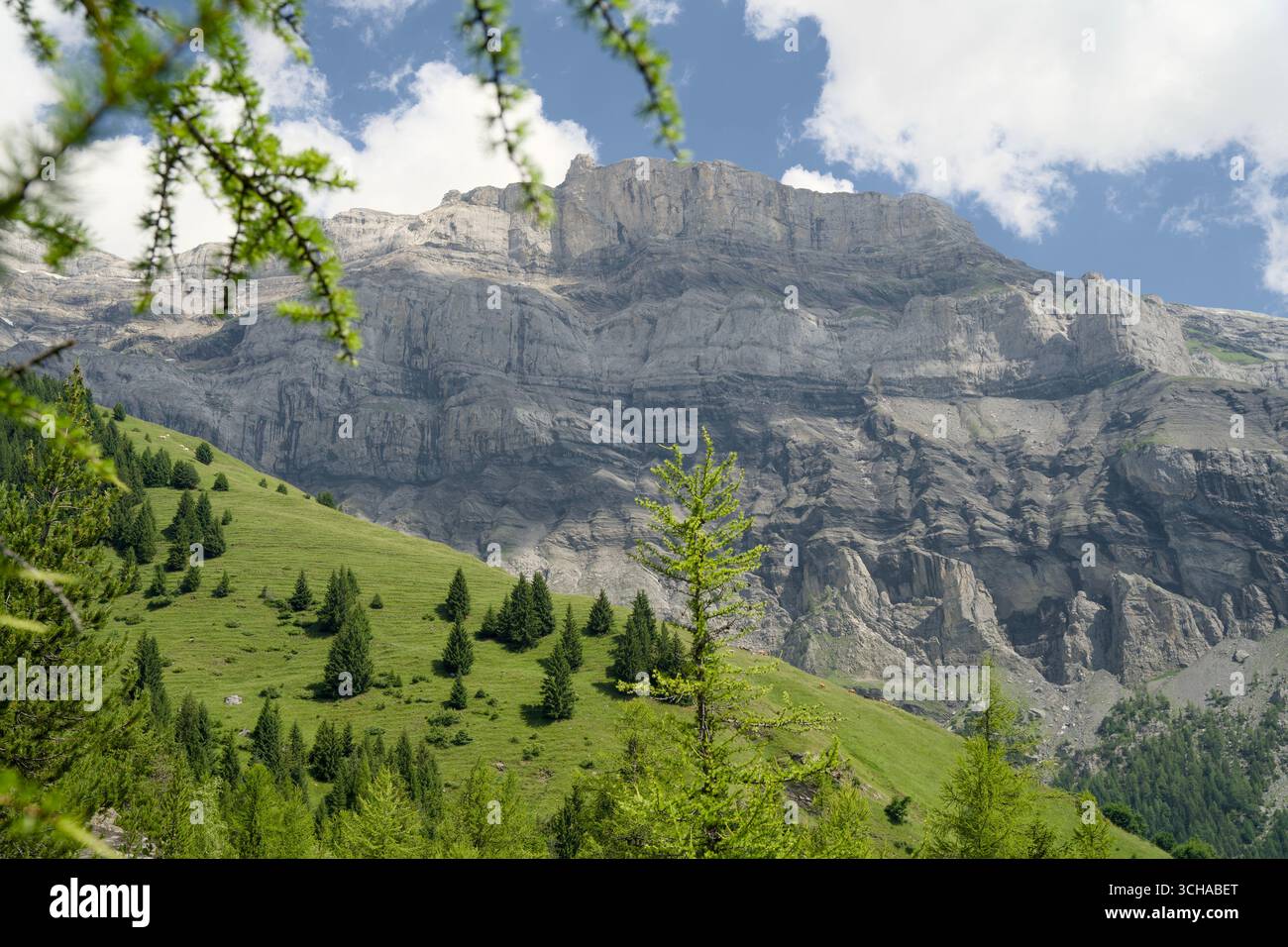 Das Derborence-Tal im Wallis, Schweiz, besticht durch eine beeindruckende alpine Landschaft mit zerklüfteten Bergen und dichten Wäldern. Stockfoto