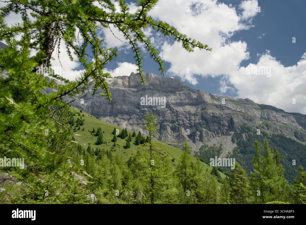 Das Derborence-Tal im Wallis, Schweiz, besticht durch eine beeindruckende alpine Landschaft mit zerklüfteten Bergen und dichten Wäldern. Stockfoto