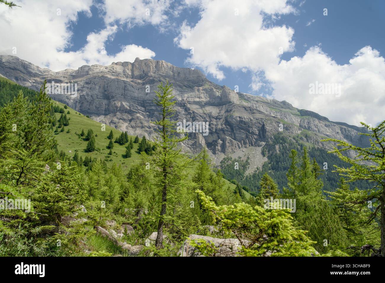 Das Derborence-Tal im Wallis, Schweiz, besticht durch eine beeindruckende alpine Landschaft mit zerklüfteten Bergen und dichten Wäldern. Stockfoto