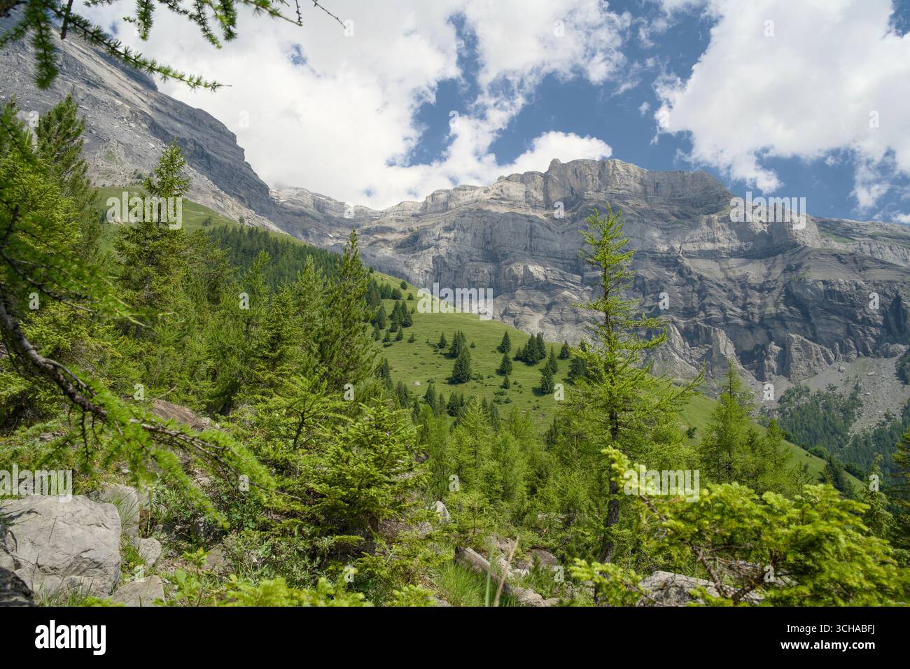Das Derborence-Tal im Wallis, Schweiz, besticht durch eine beeindruckende alpine Landschaft mit zerklüfteten Bergen und dichten Wäldern. Stockfoto