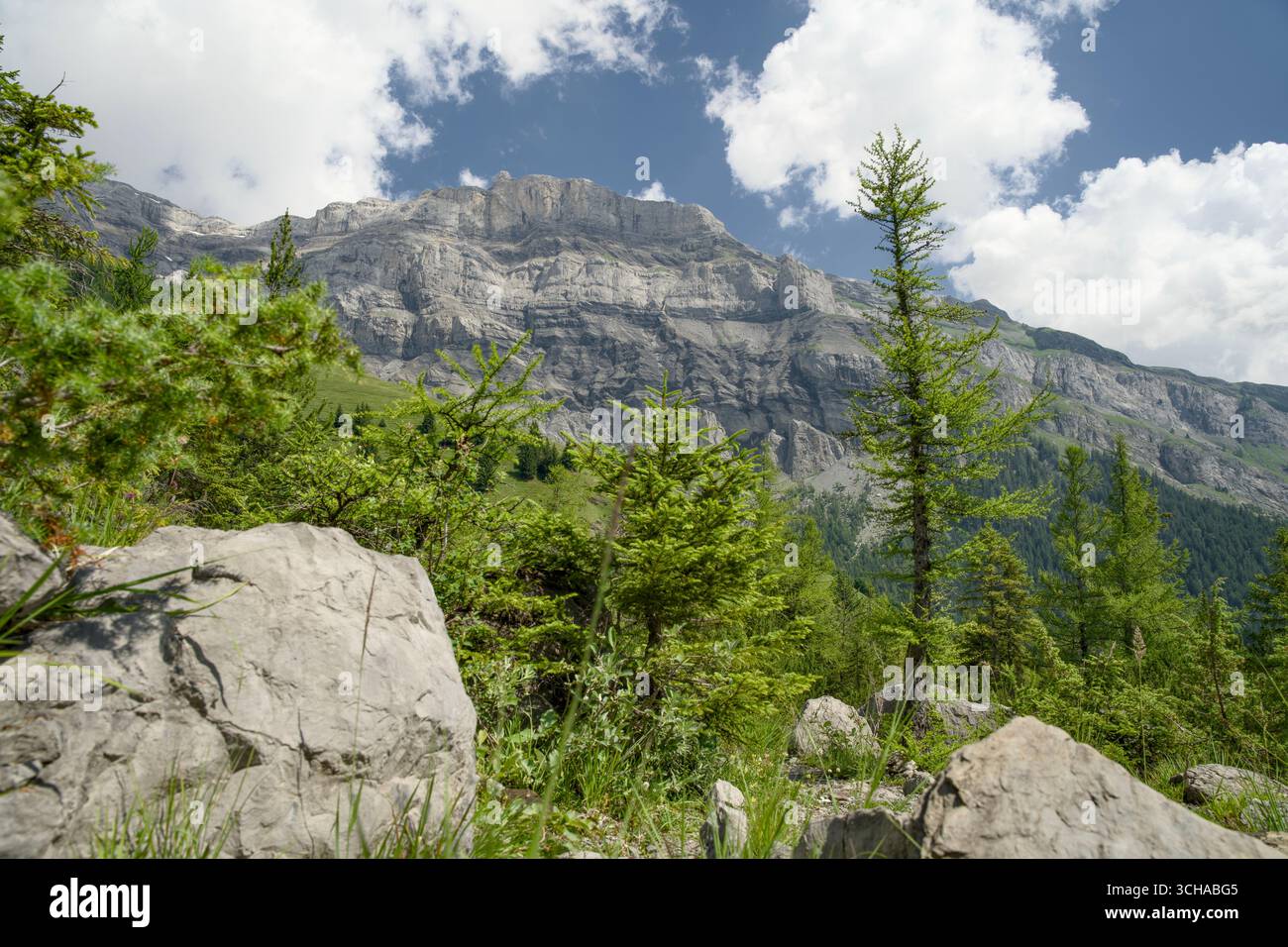 Das Derborence-Tal im Wallis, Schweiz, besticht durch eine beeindruckende alpine Landschaft mit zerklüfteten Bergen und dichten Wäldern. Stockfoto