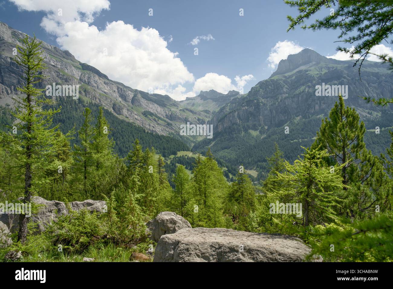 Das Derborence-Tal im Wallis, Schweiz, besticht durch eine beeindruckende alpine Landschaft mit zerklüfteten Bergen und dichten Wäldern. Stockfoto