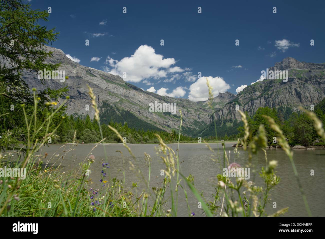 Das Derborence-Tal im Wallis, Schweiz, besticht durch eine beeindruckende alpine Landschaft mit zerklüfteten Bergen und dichten Wäldern. Stockfoto
