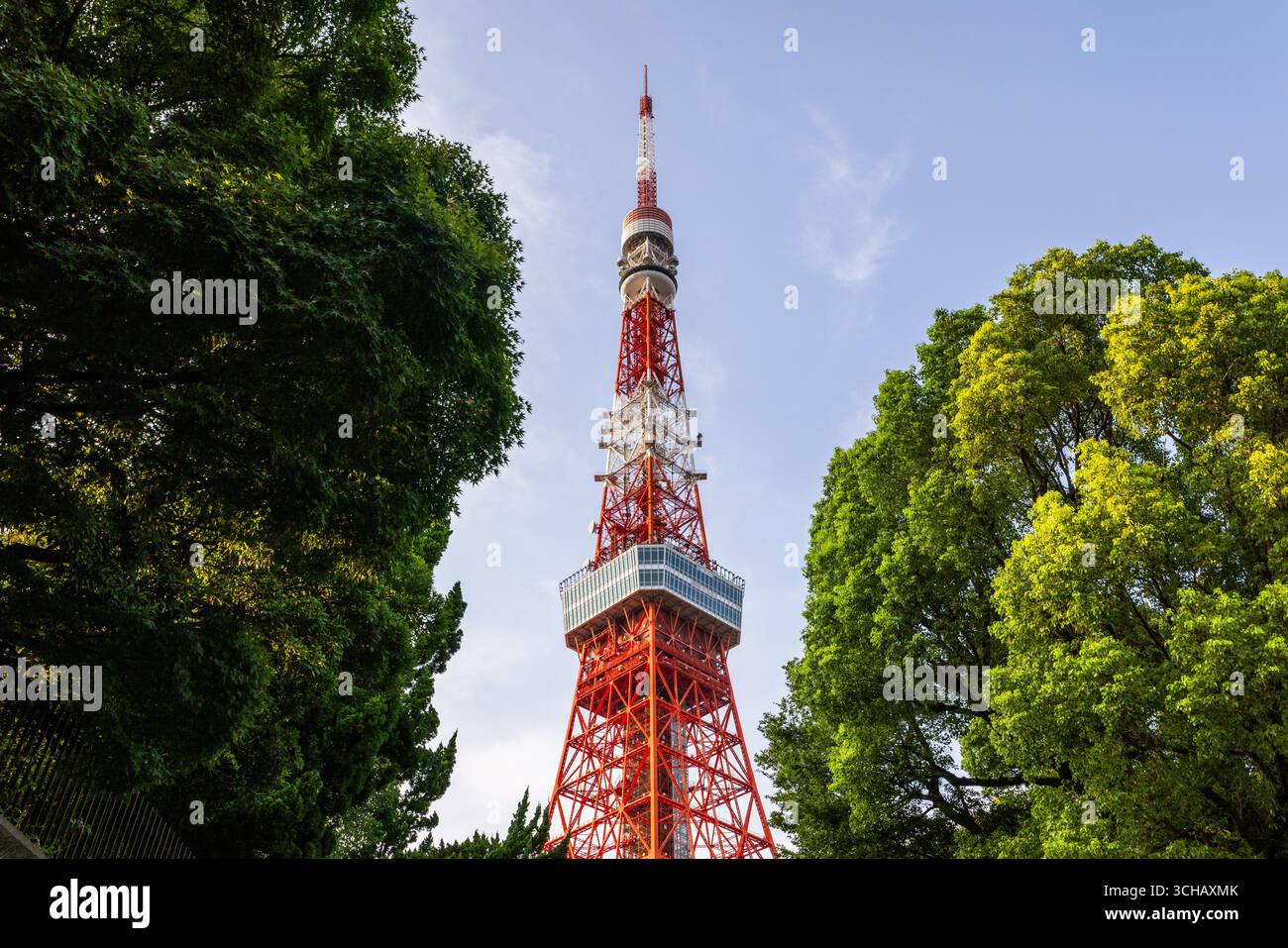 Blick auf den Tokyo Tower, eingerahmt von Parkgrün Stockfoto