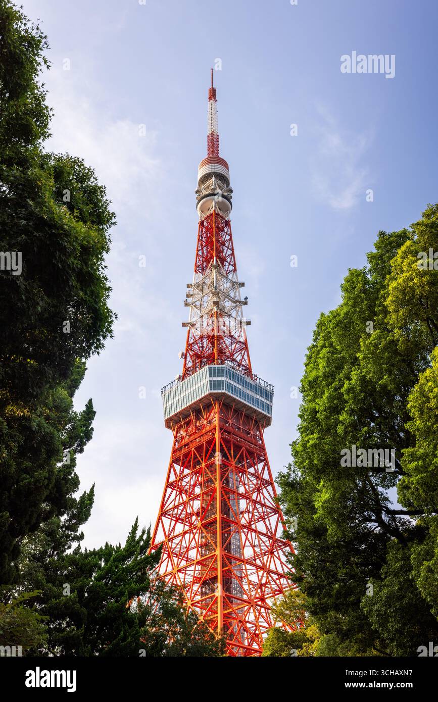 Blick auf den Tokyo Tower, eingerahmt von Parkgrün Stockfoto