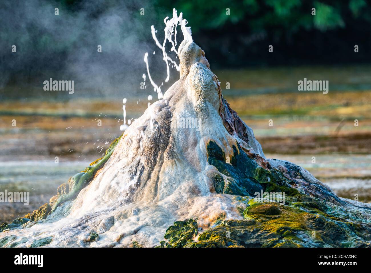 Die berühmte weibliche heiße Quelle sprüht kochendes heißes Wasser. Semuliki-Nationalpark, Uganda, Afrika. Stockfoto