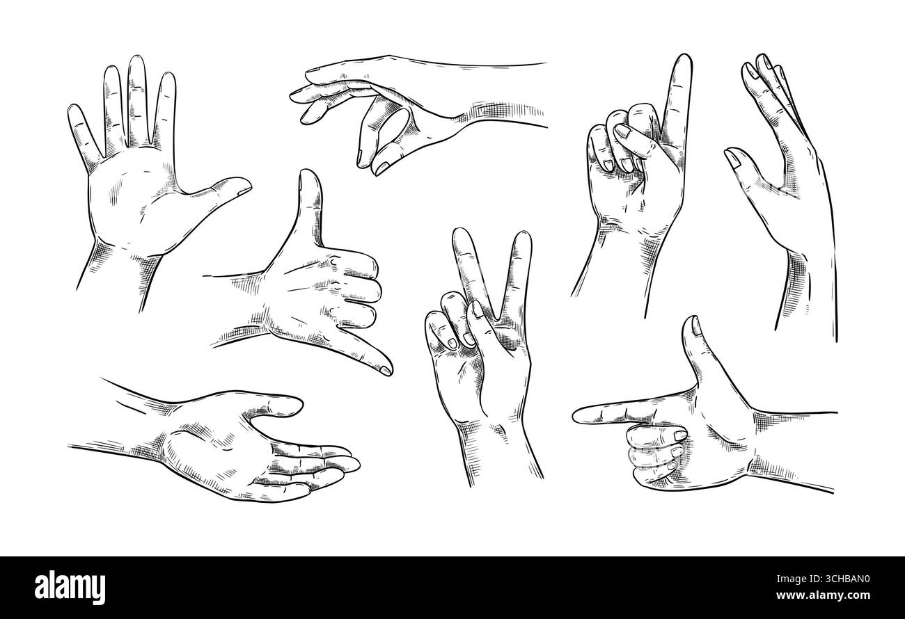 Handskizze. Armbewegung. Daumen hoch, Mann Finger. Zeigefinger. Weibliche Körper wie oder OK Handzeichen. Abwärtssignal. Handgelenkhaltung. Menschliche Gesten. Menschen, die gestikulieren. Realistisches Zeichenvektorset Stock Vektor