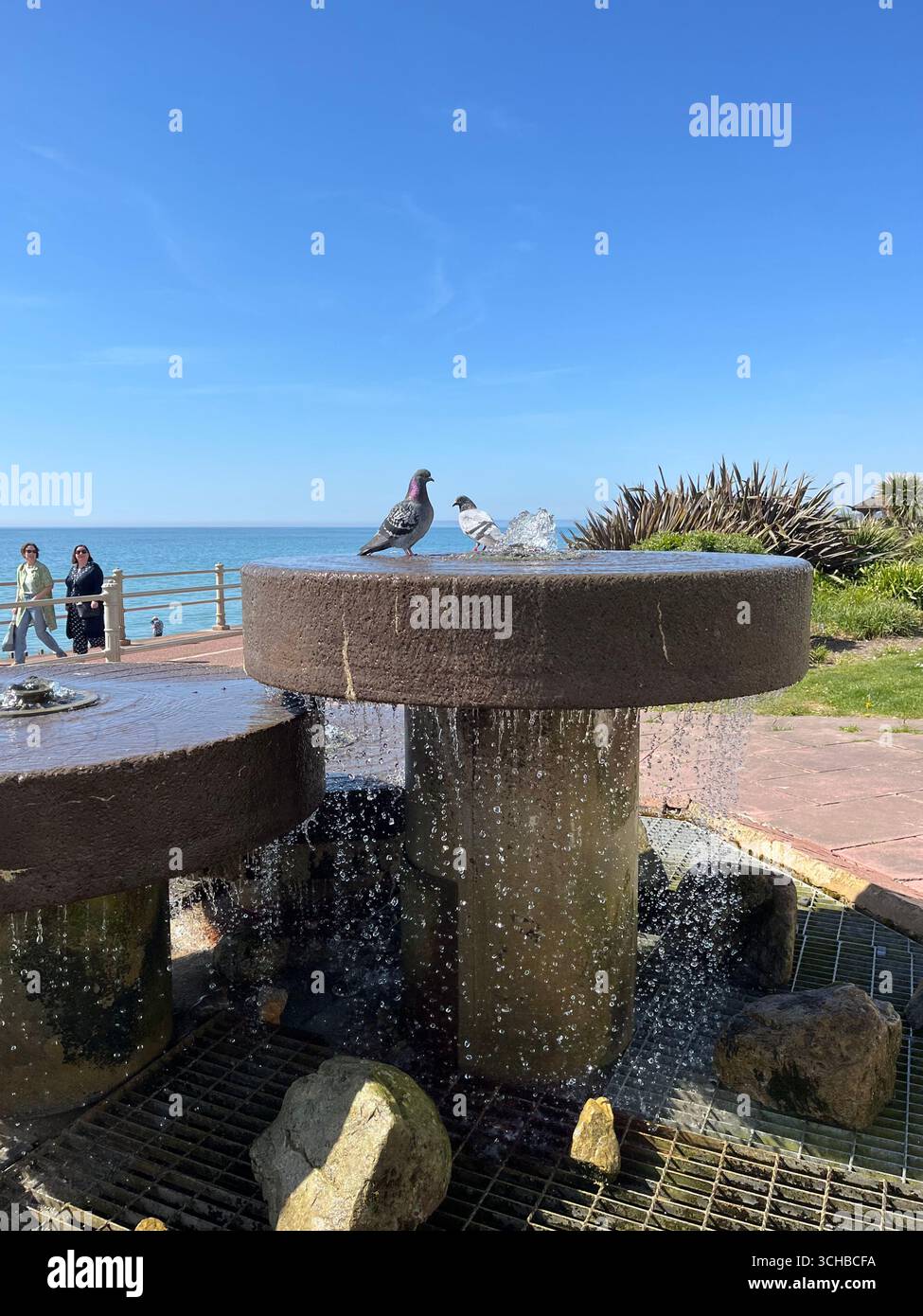 "Zwei Vögel" schrulliges Bild von zwei Tauben im Wasserbrunnen am Meer, beobachtet von zwei vorbeiziehenden Frauen Stockfoto