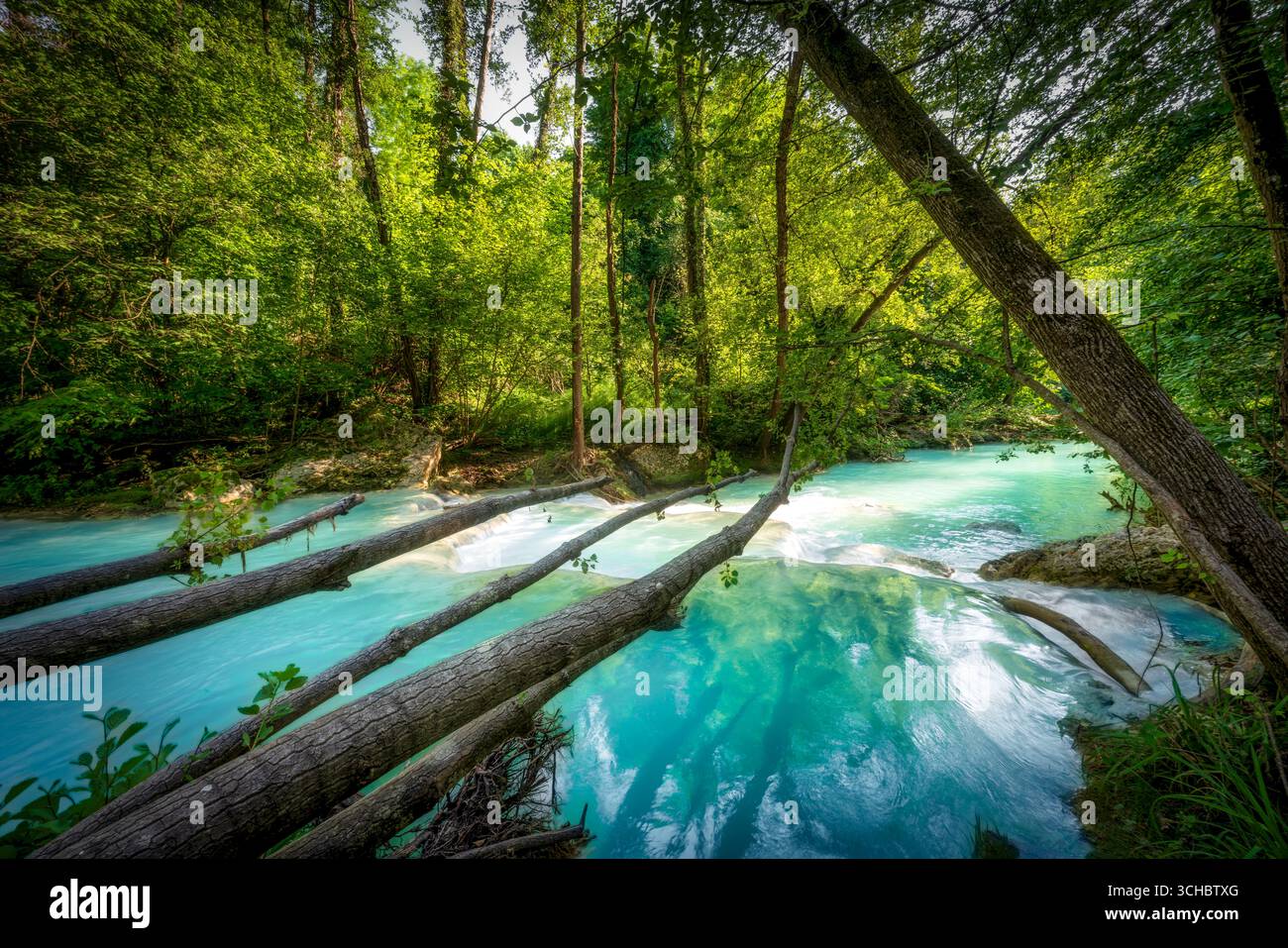 Kristallklares türkisfarbenes Elsa-Fluss mit umgestürzten Baumstämmen, die das Wasser durchqueren, umgeben von üppig grünen Wäldern entlang des Sentierelsa-Wanderweges, Coll Stockfoto