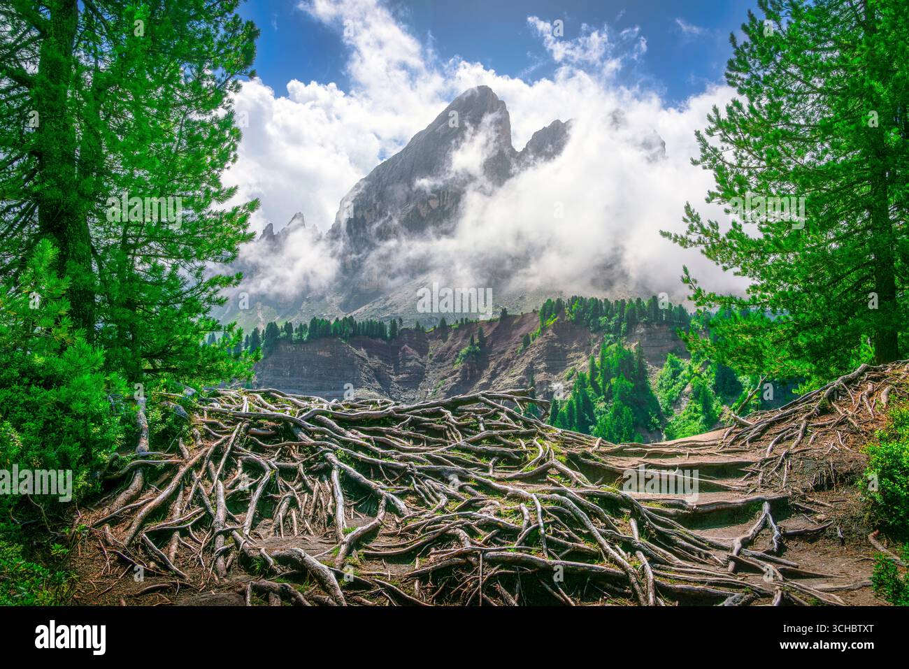 Dramatischer Blick auf den Gipfel des Sass de Putia durch Wolken mit verworrenen Baumwurzeln im Vordergrund, eingerahmt von grünen Wäldern am Passo delle Erbe, Dolomiten, Süden Stockfoto