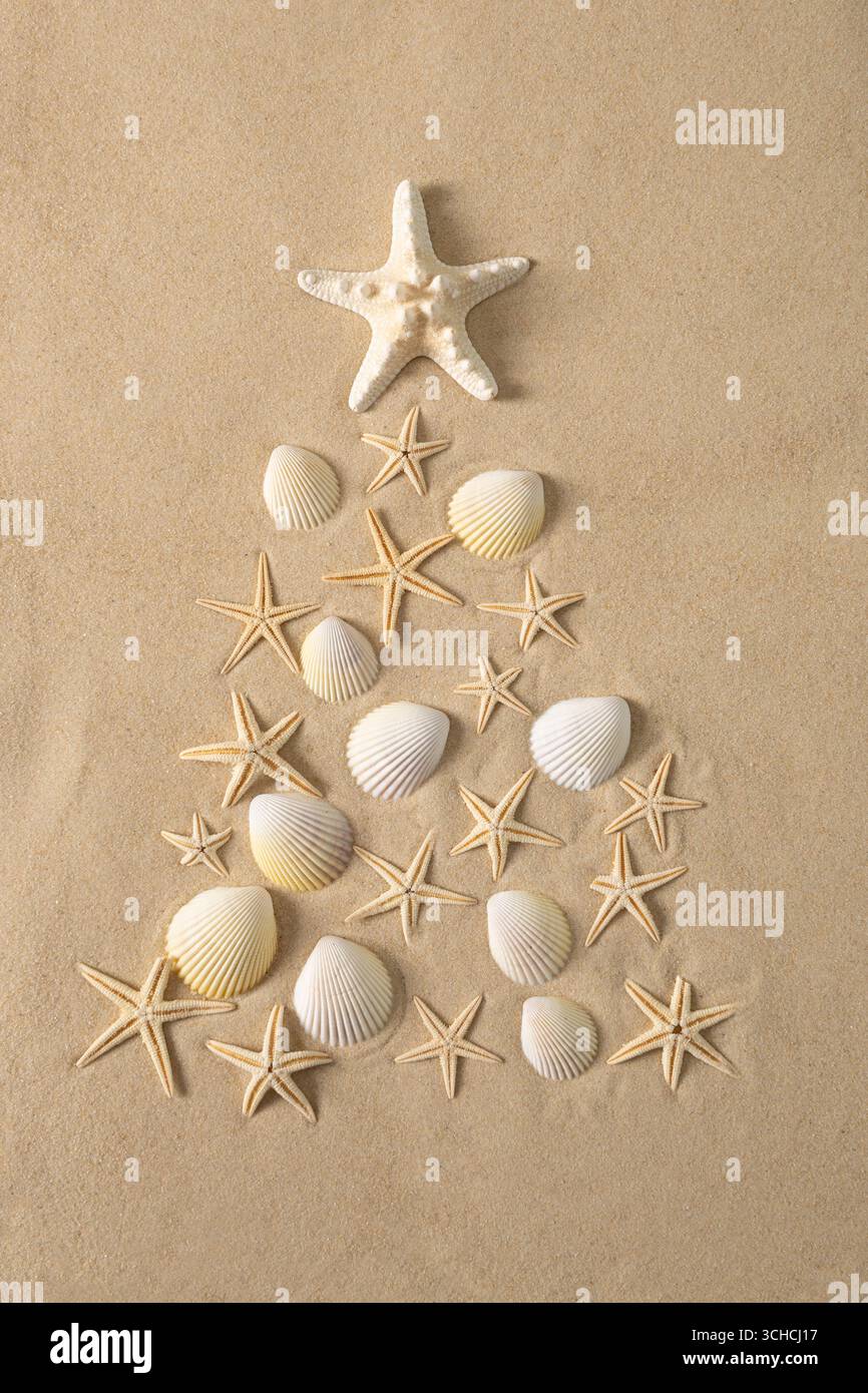 Kreativer alternativer Weihnachtsbaum aus Muscheln und Seesternen auf sandigem Hintergrund. Strand- und Urlaubsthemen, festliche Atmosphäre an der Küste. Stockfoto