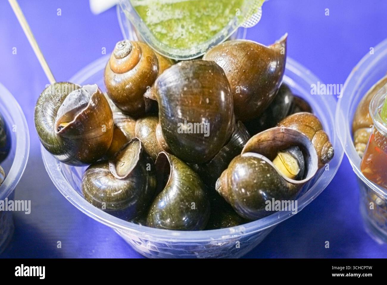 Gedämpfte Apfelschnecken mit würziger Dippsoße in einer klaren Schüssel. Traditionelle thailändische Streetfood-Delikatesse mit kräftigen und exotischen Aromen. Stockfoto
