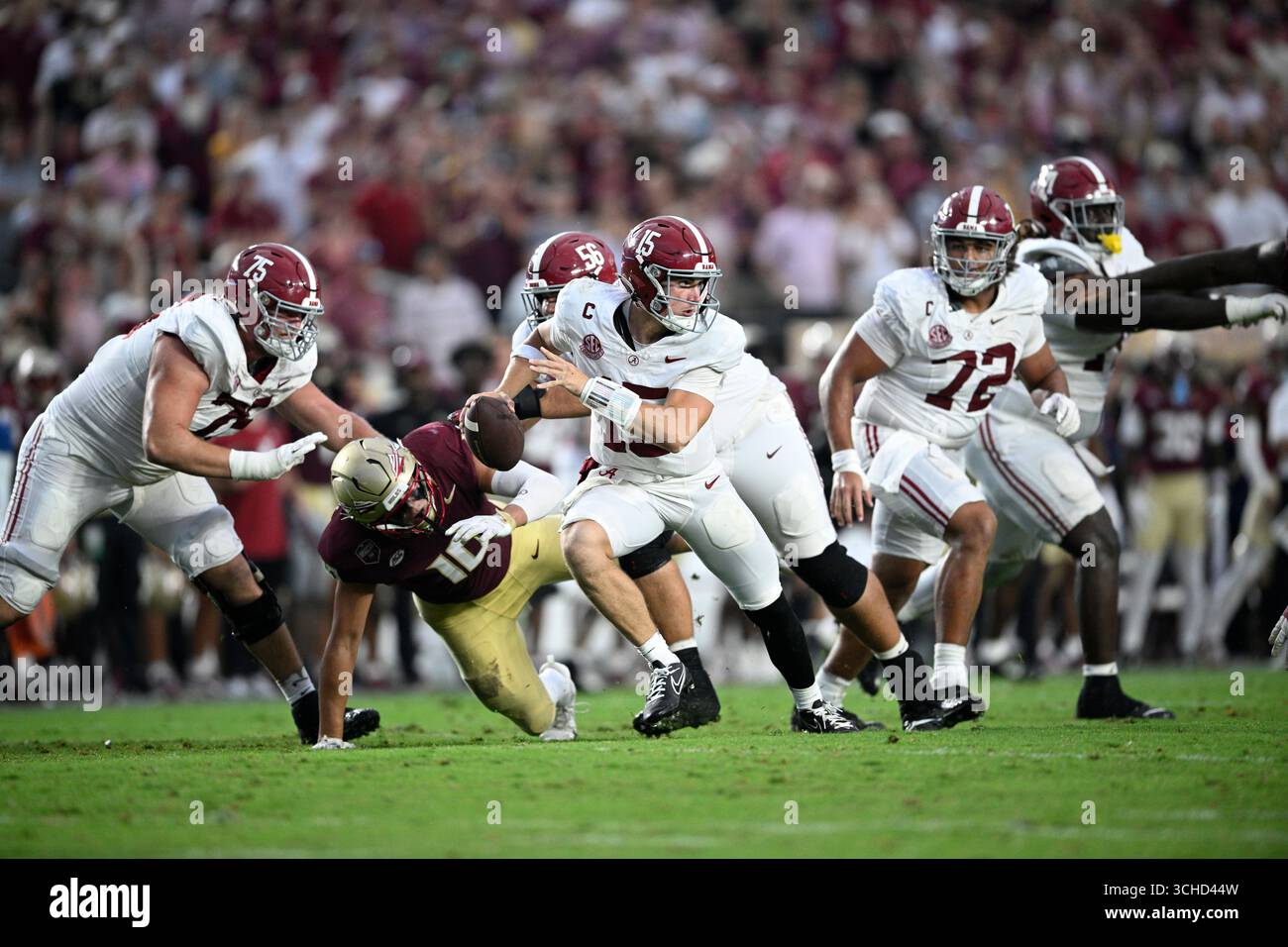 Alabama quarterback Ty Simpson (15) scrambles away from Florida State defensive lineman James Williams (10) during the second half of an NCAA college football game, Saturday, Aug. 30, 2025, in Tallahassee, Fla. (AP Photo/Phelan M. Ebenhack) Stockfoto