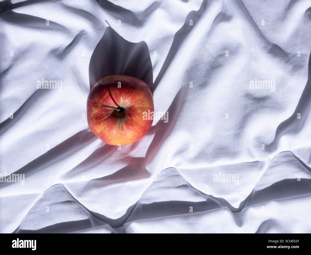 Roter Apfel liegt auf einem weißen zerknitterten Blatt und wirft einen subtilen Schatten in das weiche, diffuse natürliche Licht und schafft eine minimalistische Stillleben-Komposition Stockfoto