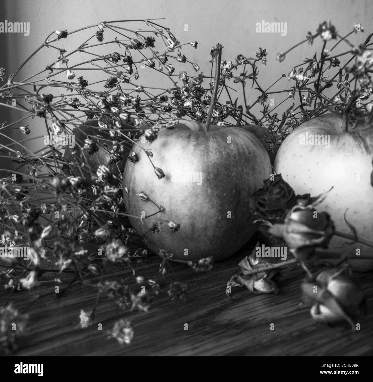 Einfarbiges Stillleben mit Reifen Äpfeln, verwelkten Blüten, die neben duftenden Rosen auf verwitterter Holzoberfläche ruhen und an nostalgische Vintage-M erinnern Stockfoto