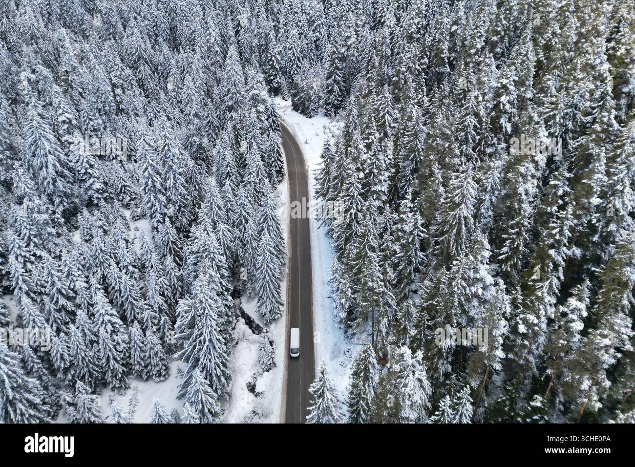 Aus der Vogelperspektive auf einen verschneiten Wald mit hohen Kiefern und Straße mit einem Auto-Minibus im Winter. Stockfoto