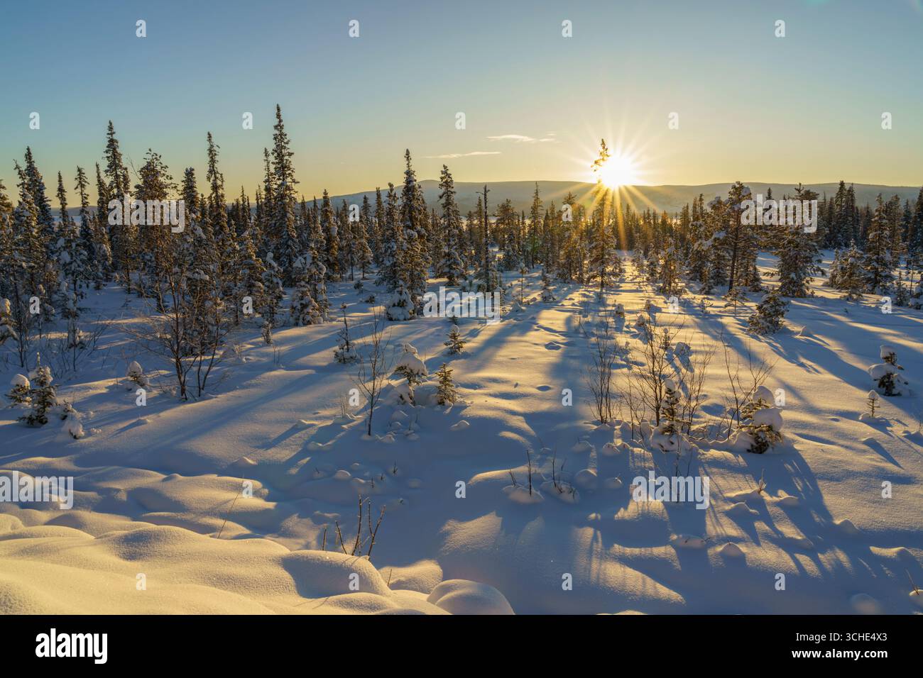 Winterlandschaft im Nationalpark Stora sjöfallet in Schwedisch Lappland, Schweden Stockfoto