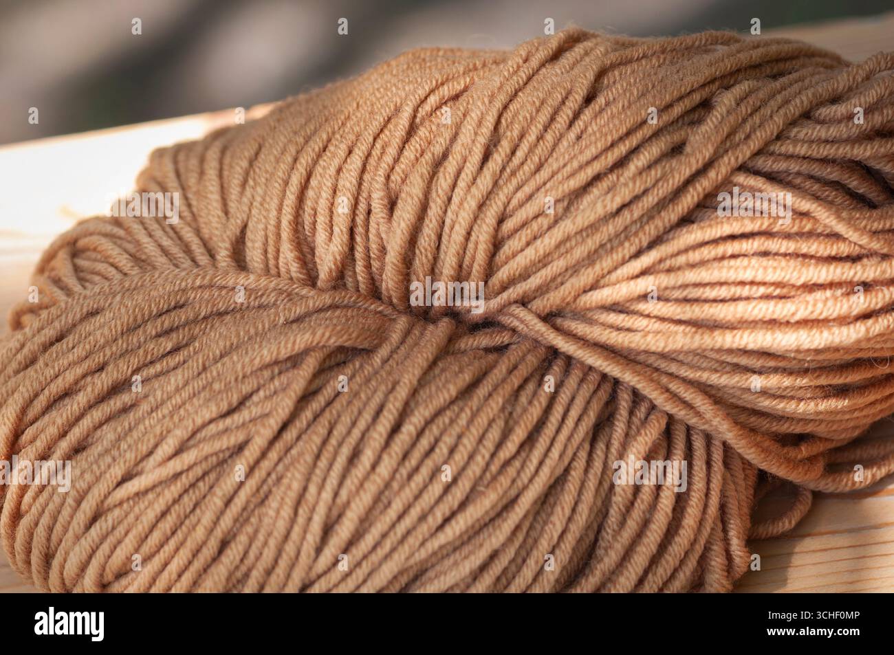 Wollknäuel gefärbt mit Lärchenrinde, Larix decidua Stockfoto