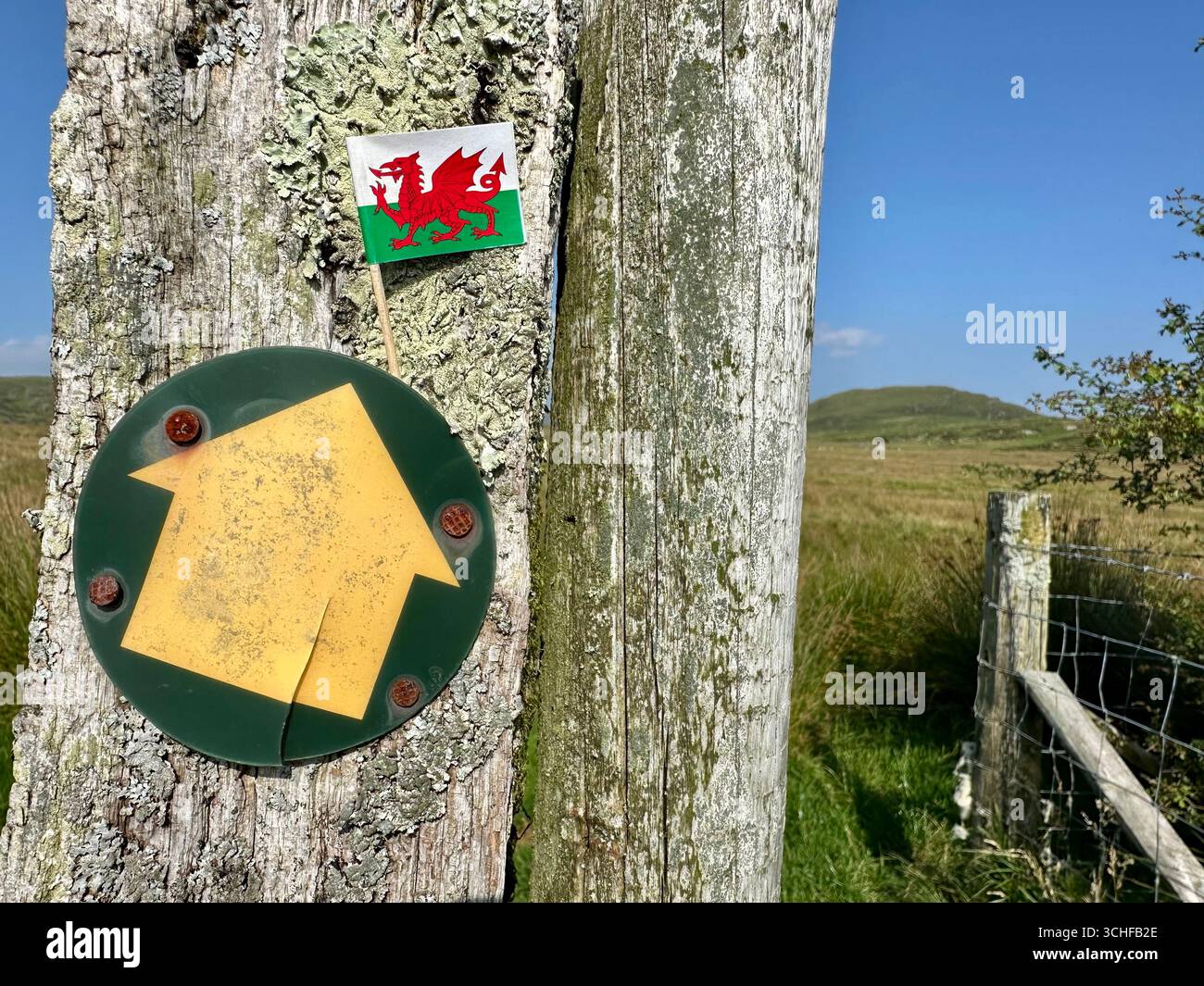 Eine walisische Flagge in typisch walisischer Landschaft Stockfoto