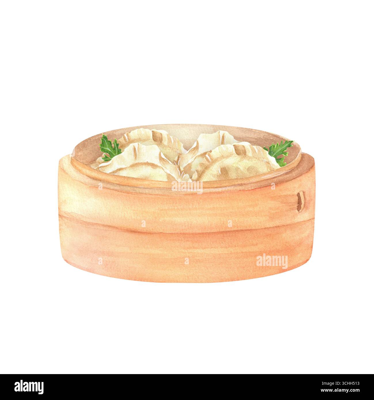 Ein asiatischer Bambusdampfer mit Knödeln, Jiaozi und Petersilienblättern. Traditionelle asiatische Küche. Chinesisches Neujahrsessen. Handgezeichnete Aquarellabbildungen o Stockfoto