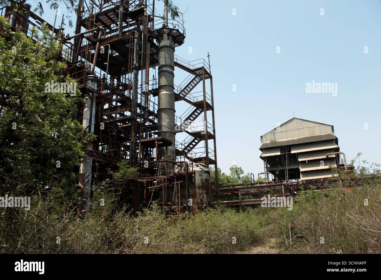 Die verlassene Fabrik von Union Carbide (Dow Chemicals) in Bhopal, Indien, ist mit Unkraut und Pflanzen bewachsen. Stockfoto