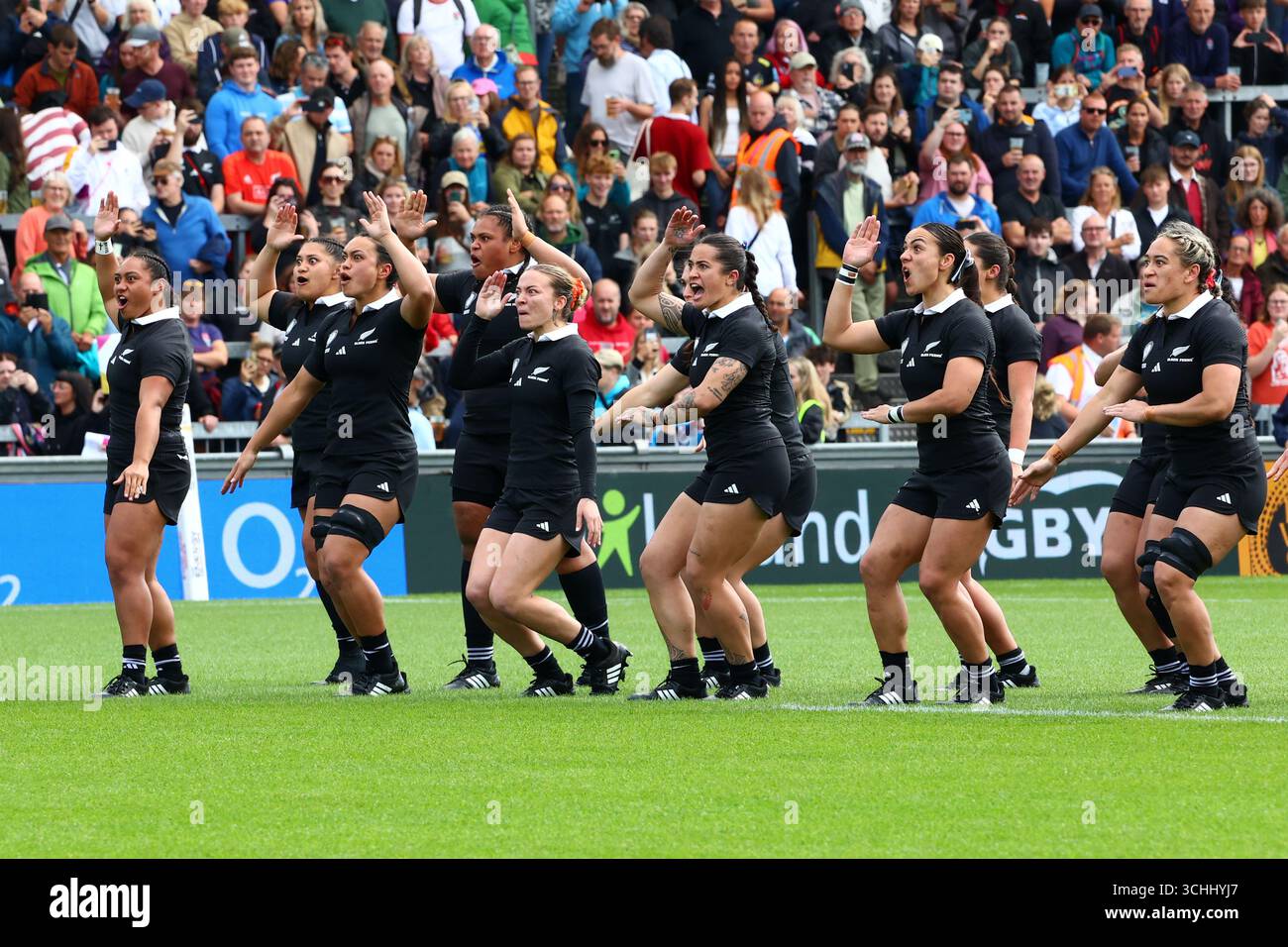 Exeter, Devon, Großbritannien. 31. August 2025. Damen Rugby World Cup Pool C: Neuseeland gegen Japan im Sandy Park, Exeter. Im Bild: Black Ferns führen die zeremonielle Herausforderung Haka vor dem Spiel aus. Hinweis: Nidpor/Alamy Live News Stockfoto