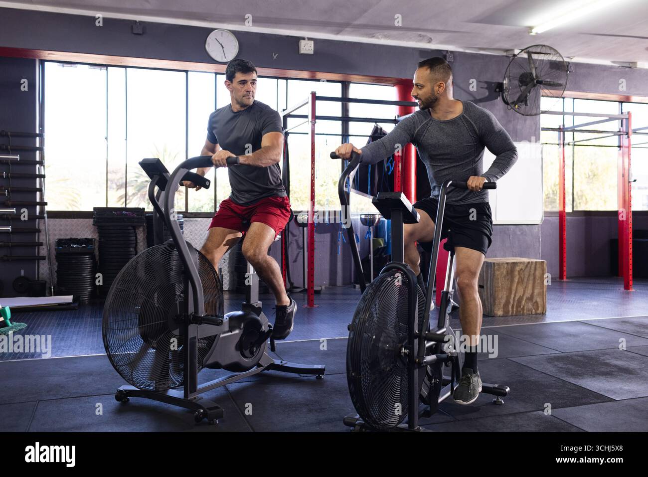 Männliche Freunde, die auf Luftwiderstandsrädern in der Turnhalle mit Gewichtsträger, Pull-up-Rig in die Pedale treten Stockfoto