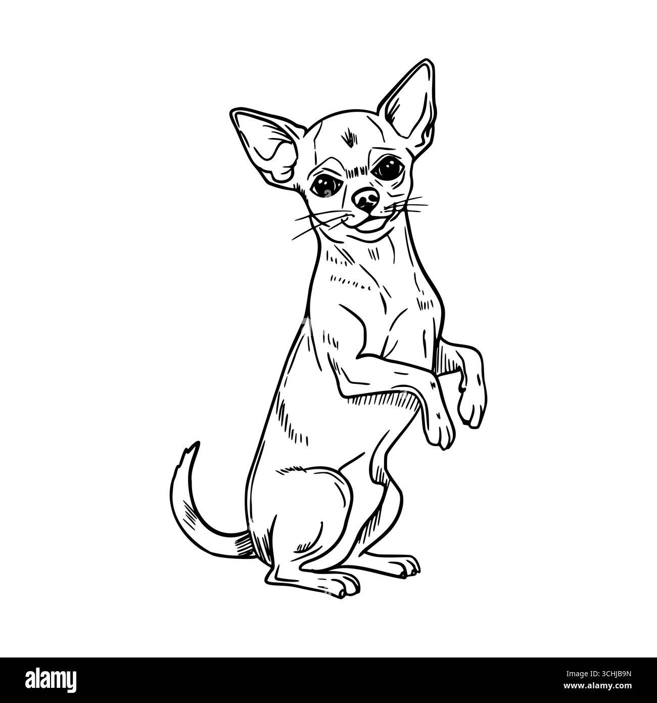 Ein kleiner, stehender Chihuahua mit großen Ohren und einem schlanken Körper. Der Hund hat ein kurzes Fell und einen neugierigen Ausdruck, der seine verspielte Natur zum Ausdruck bringt. Stock Vektor