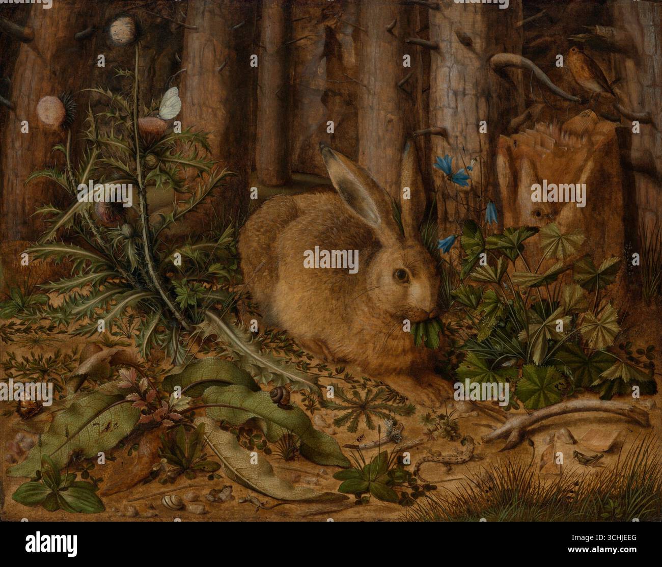 Ein Hase im Wald (ca. 1585) von Hans Hoffmann, dem deutschen Maler der Spätrenaissance. Diese detaillierte Naturstudie zeigt einen Hasen in einer Waldlandschaft, umgeben von Disteln, Wildblumen, Schmetterlingen und Vögeln, was den Einfluss von Albrecht Dürers naturalistischer Tradition widerspiegelt. Stockfoto